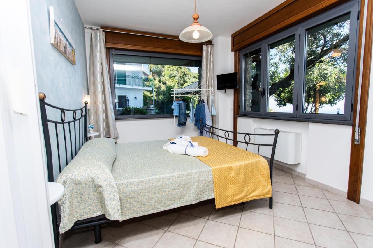Apartments Paradise Garden Holiday House อาเจโรลา ภายนอก รูปภาพ
